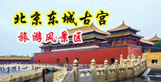 美女小穴被插穿中国北京-东城古宫旅游风景区